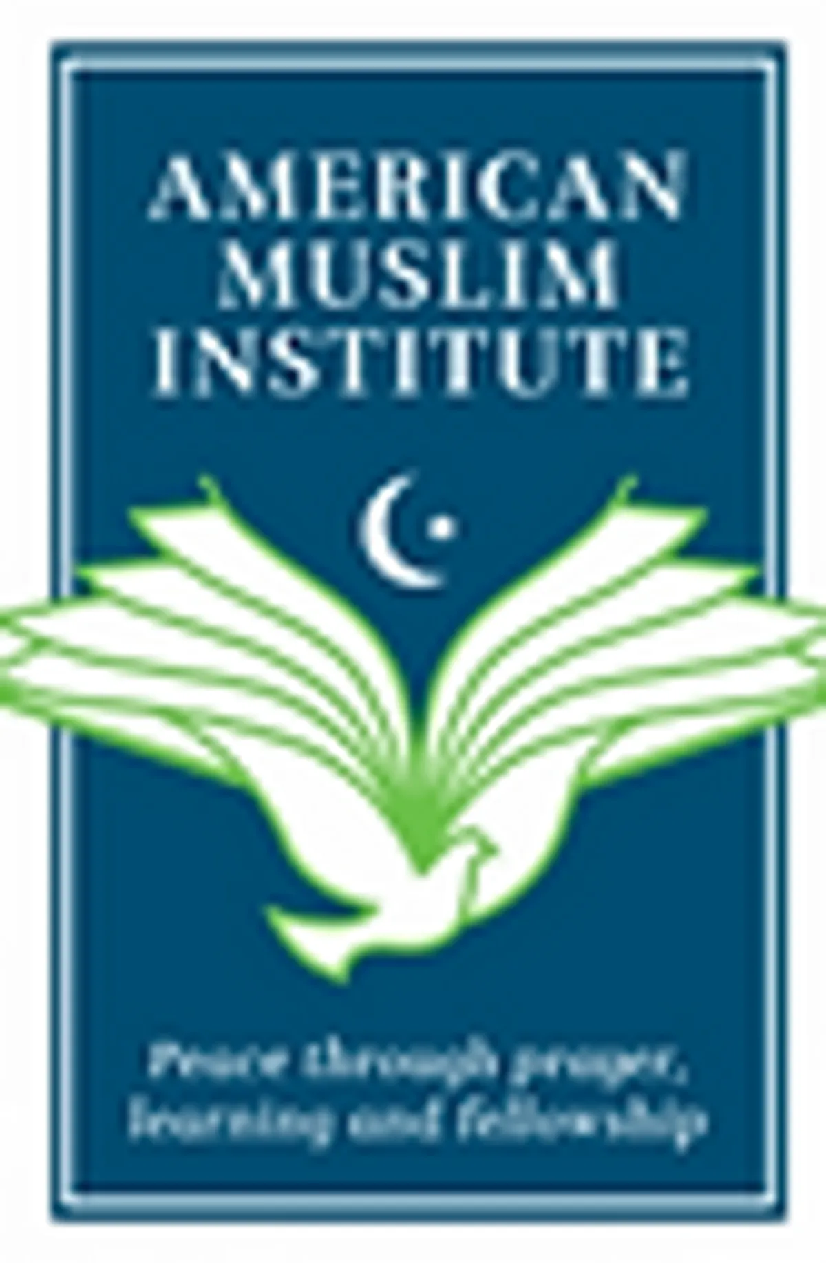 American Muslim Institute (AMI)