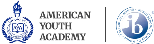 American Youth Academy